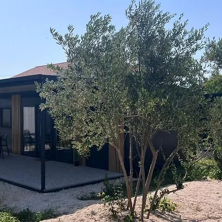 Mia 3, Camp Limoni