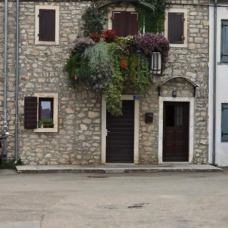 Vila Mia 3, Camp Limoni *