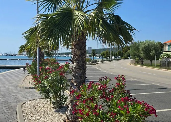 Mia 3, Camp Limoni * Sukošan